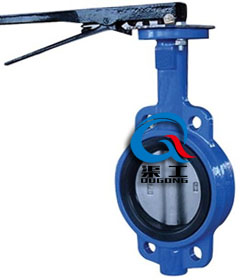 手動(dòng)對夾式蝶閥